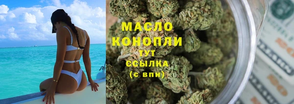 тгк Абаза