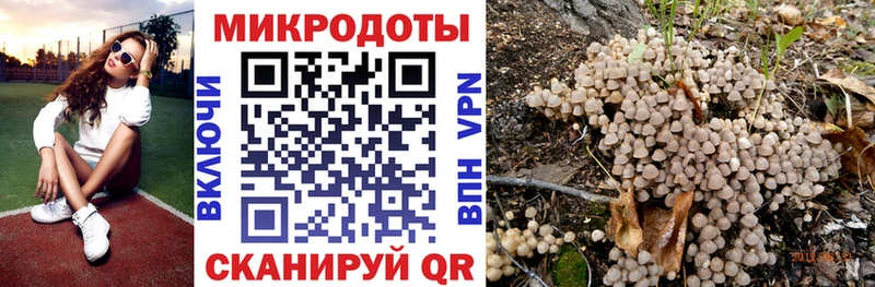 ссылка на мегу онион  Чебаркуль  Псилоцибиновые грибы мицелий  закладка 