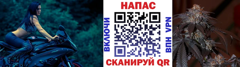 Конопля сатива  Чебаркуль 